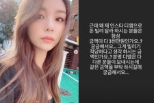왜 자꾸 3000만원을 에일리, DM 금전요구에 고충 토로