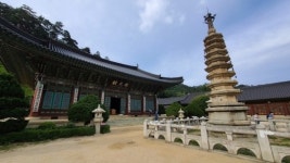 평창군관광협의회, 겨울여행 위한 평창 스카이 렐리 투어 운영