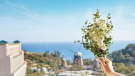 롯데호텔 제주, ‘봄(B.O.M.)’ 패키지 선봬