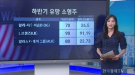 BoA 선전 하반기 유망 소형주 12