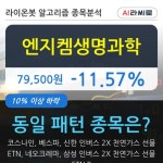 엔지켐생명과학, 주가 하락 현재는 -11.57%... 이 시각 거래량 34만3217주
