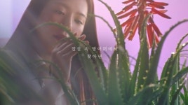 원조가 돌아왔다…김정문알로에, 다시, 알로에의 시대로 22년 만에 새 TV 광고