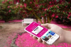 바코드 하나면 더 빠르고 편하게…제주투어패스 성장세