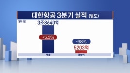 대한항공 4분기 여객·화물 특수 노린다
