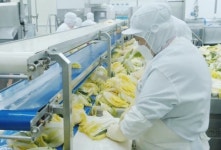 [명문장수기업] 포장김치로 걸어온 32년, 한울 백창기 대표의 기업가정신