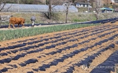 농가 100만 깨졌다…소멸 위기