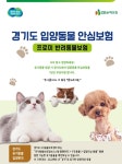 DB손해보험, 경기도 입양동물 안심보험 시행