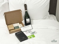 호텔 더 보타닉 세운 명동, 20일 오프닝 기념 한정 패키지 출시