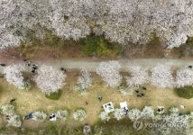 비 그치고 화창...봄 햇살에 포근한 오후