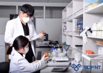 (주)소프엔티, 동남아시아 시장 진출 출사표…나노 기술 초격차 실현