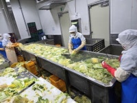 HP&C, 전라도 흥부식품과 함께 김치 소독 공정의 새로운 기준 세우다