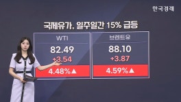 美·이란, 전면전 우려 커져 [글로벌 머니플로우]