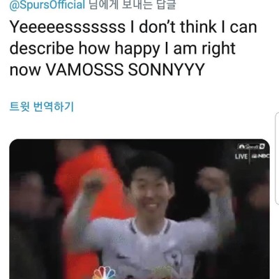 손흥민 우승에 '축제의 장' 된 토트넘 트위터 | 포토뉴스