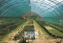 [TRAVEL FEATURE]횡성①생명의 신비 배우는 생태학교