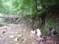 [TRAVEL NEWS24]생명의 숲으로 떠나는 촬영여행