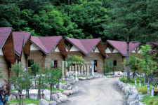 [TRAVEL FEATURE]태백④ 한여름 무더위, 축제로 날린다