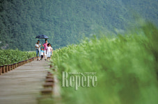[TRAVEL FEATURE]순천① 그곳에선 여행도 드라마가 된다