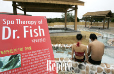 [TRAVEL NEWS24]닥터피쉬와 함께 즐기는 온천