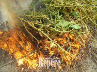 [TRAVEL FEATURE]슬로푸드마을② 우렁각시가 차려놓은 건강 밥상