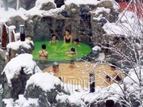 [TRAVEL NEWS24]아산스파비스, 눈썰매장 개장