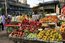 [TRAVEL FEATURE]인도① 델리(Delhi), 세월이 유통되는 시장(市場)