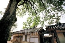 [TRAVEL FEATURE]해남③ 고택에서 풍기는 고산의 향기