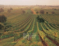 [TRAVEL NEWS24]오스트리아가 품은 네 가지 매력