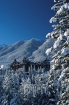 [TRAVEL NEWS24]겨울 캐나디언 로키의 보석, 재스퍼로 가는 눈꽃열차