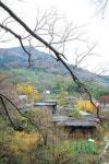 [TRAVEL FEATURE]임실③ 내 어릴 적 살던 고향, 구담마을