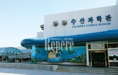 [TRAVEL FEATURE]동해남부해안④ 바다를 읽는다, 등대 박물관 Vs 수산 과학관