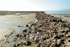 [TRAVEL FEATURE]태안⑤ 한 번 가면 또 가고 싶은 여행지