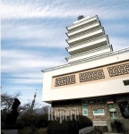 [TRAVEL FEATURE]진해④ 벚꽃터널에서 청정해역까지