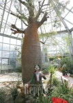 [TRAVEL FEATURE]꽃으로 물든 하루, 식물원 여행