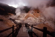 [TRAVEL NEWS24]렌터카로 즐기는 낭만과 여유, 여름날의 홋카이도