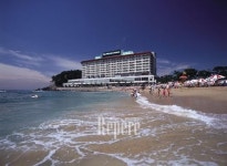 [TRAVEL NEWS24]뜨거운 여름, 부산 해운대의 유혹