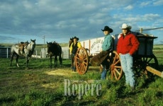 [TRAVEL NEWS24]시나리오 작가 심산과 함께 떠난 캐나다 서부 대기행