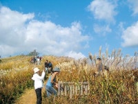 [TRAVEL FEATURE]추억이 주렁주렁 열리는 당일치기 체험 여행