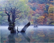 [TRAVEL FEATURE]운치 있는 가을 여행지③ 경북 청송 주왕산