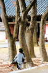[TRAVEL FEATURE]운치 있는 가을 여행지④ 전북 전주 한옥마을