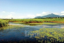 [TRAVEL FEATURE]부산④ 여행정보, 용두산공원에서 을숙도까지