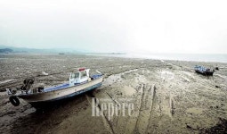 [TRAVEL FEATURE]포구기행④ ‘겨울바다 맛의 파도’ 식객 유혹