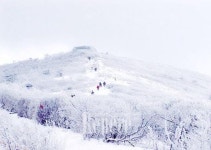 [TRAVEL NEWS24]웹투어, 베스트 겨울 여행상품 기획전