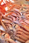 [TRAVEL FEATURE]대게 맛이 궁금하다면 영덕 강구항으로 가자