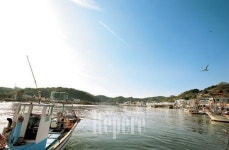 [TRAVEL FEATURE]대게 맛이 궁금하다면 영덕 강구항으로 가자