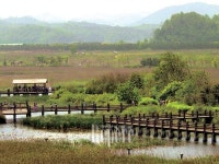 여행과 공부 겸한 생태공원 나들이