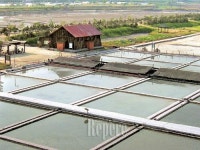 여행과 공부 겸한 생태공원 나들이