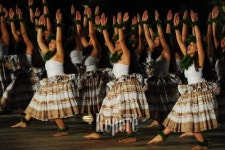 [TRAVEL NEWS24]흥겹고 화려한 훌라춤으로의 초대