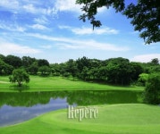 싱그러운 5월에 즐기는 여유로운 골프 여행