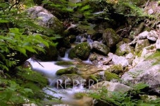 수려한 심산유곡으로 떠나는 여름휴가