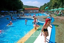 파인리조트, 숲 속 야외 수영장 개장